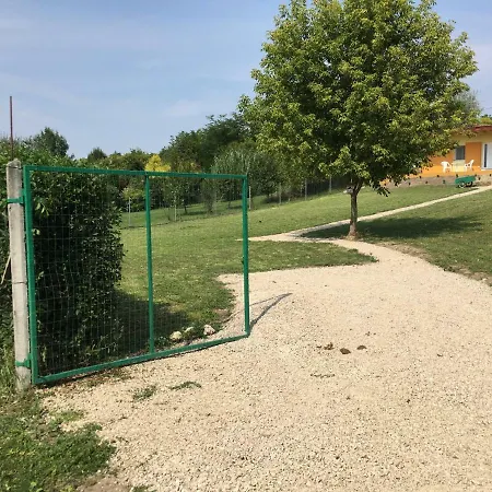 Hajnal A Tavaknál * Sarkeresztes